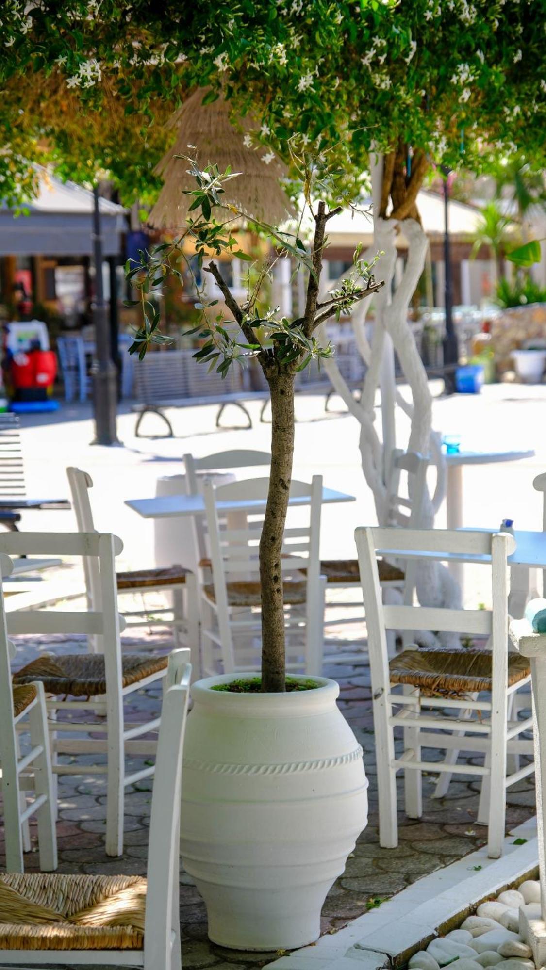 Cocoon Hotel-Beach Bar Sarti Luaran gambar