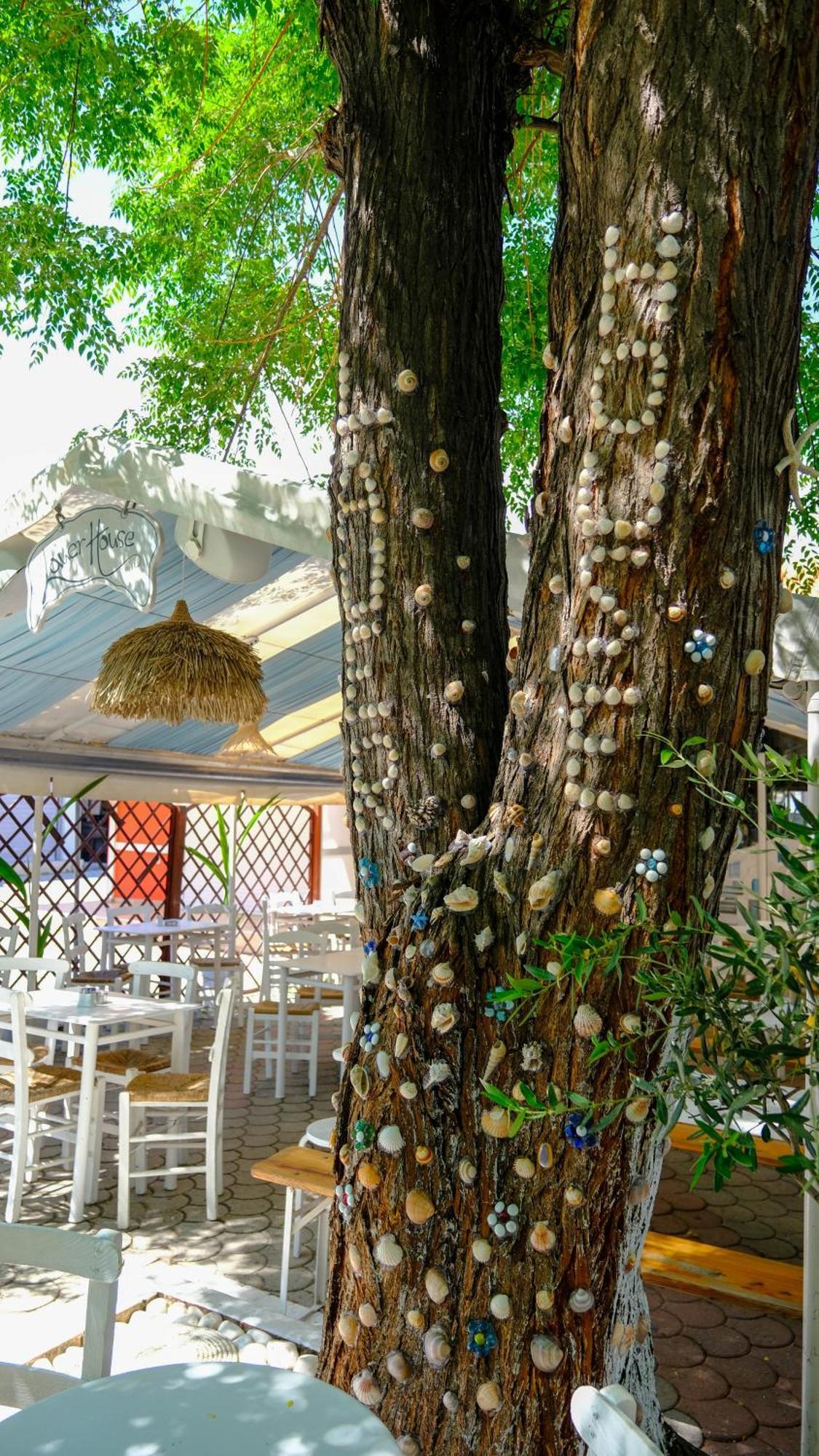 Cocoon Hotel-Beach Bar Sarti Luaran gambar