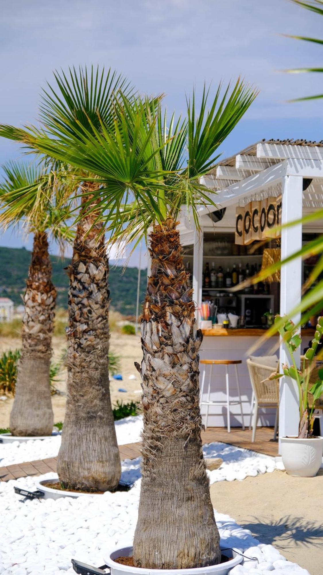 Cocoon Hotel-Beach Bar Sarti Luaran gambar